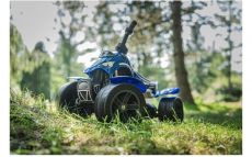 Квадроцикл на педалях Falk Racing Team 631 (колір - синій)